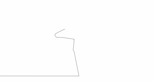 Self Drawing Line Animation Flamingo Continuous Line Drawn Concept — Stock Video