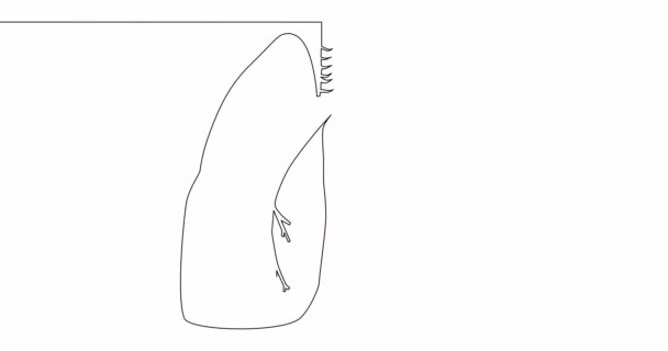 Auto Dibujo Línea Animación Anatómica Pulmones Humanos Línea Continua Dibujado — Vídeo de stock