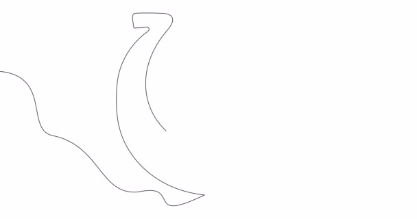 Self Drawing Line Animation Horseshoe Continuous Line Drawn Concept Video — Stock Video