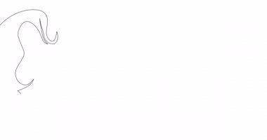 Öz çizim çizgisi animasyonu yapan kadın sürekli bir öpücük çizgisi çiziyor.