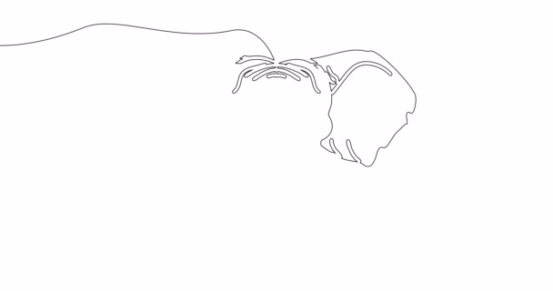 Self Drawing Line Animation Elephant Head Continuous Line Drawn Concept — Video Stock