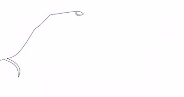 Self drawing line animation Hand holding magnet Customer attraction strategy continuous line drawn concept video