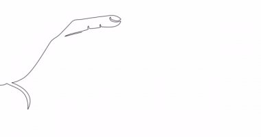 Self drawing line animation magnet customer retention continuous one single line drawn concept video