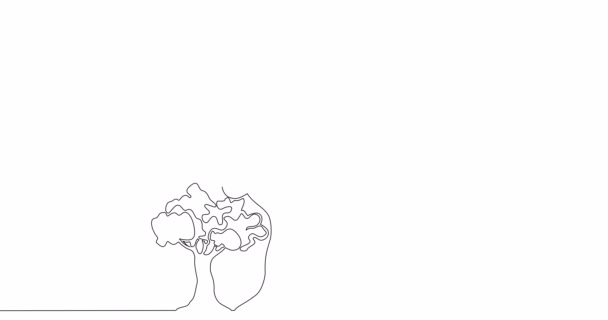 Селф Рисование Линии Анимация Лесной Массив Непрерывный Одной Единственной Линии — стоковое видео