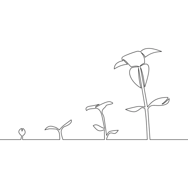 植物生长图标矢量图解概念的连续单行绘制阶段 — 图库矢量图片