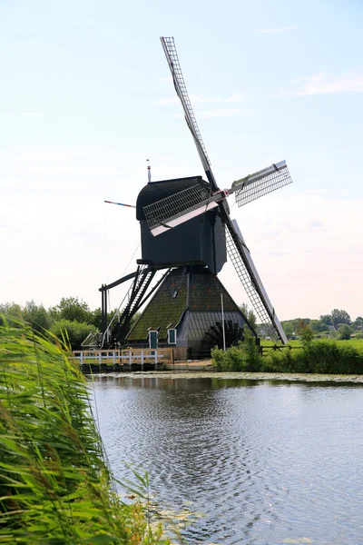 Kinderdijk wiatrak — Zdjęcie stockowe