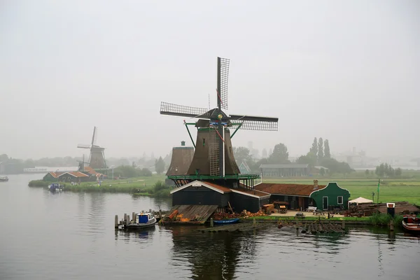 Zaanse Schans'a yel değirmenleri 2
