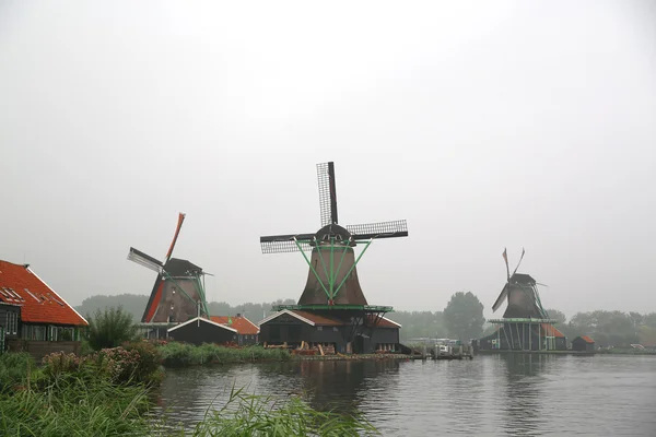 Zaanse Schans'a yel değirmenleri 2