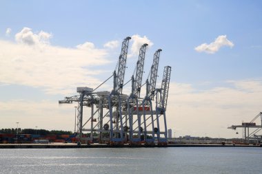 Kargo rotterdam liman 015