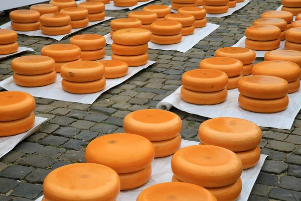 Mercato olandese del formaggio Gouda 04 — Foto Stock