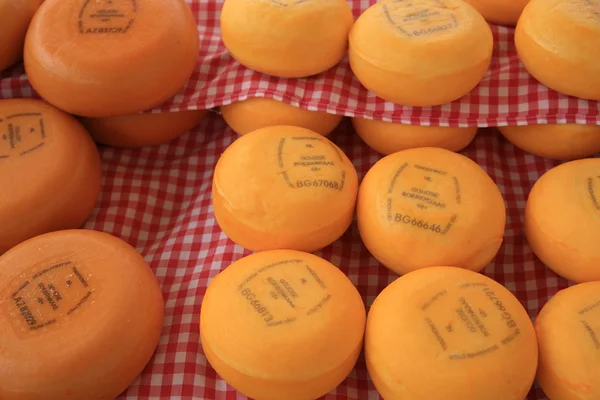 オランダ ゴーダ チーズ市場 6 — ストック写真