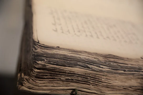 Gros vieux livre ouvert avec des pages en lambeaux 002 — Photo