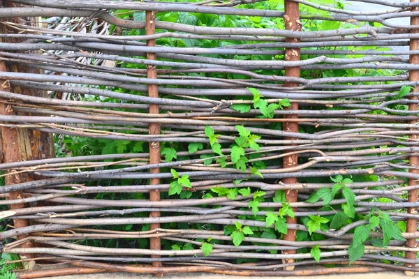 Wicker fence — Stock Photo, Image