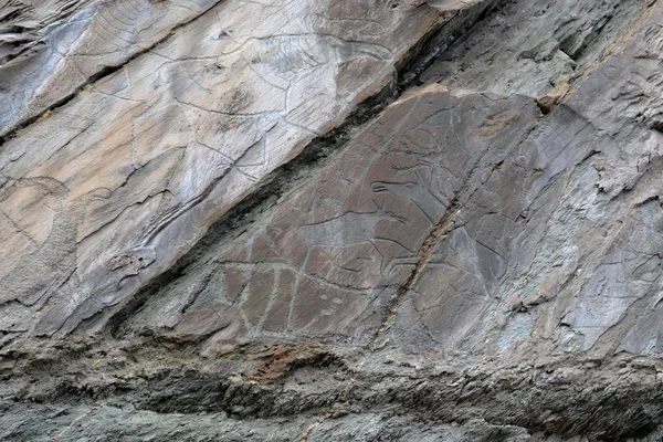 Rock festmények-petroglyphs — Stock Fotó