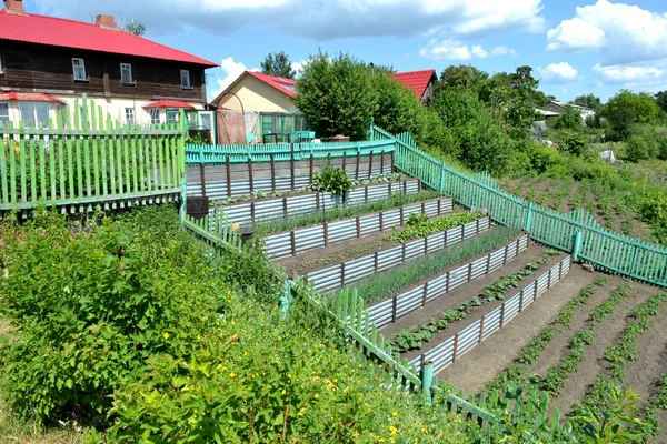 Terraced farming — Stock Photo, Image