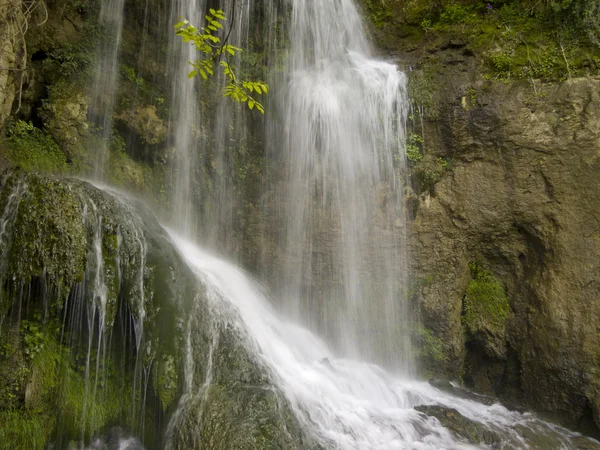 Forces of nature — Stock Photo, Image