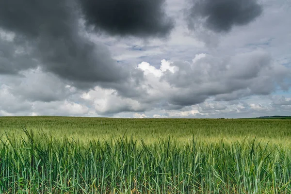 Auf Tuchfühlung Mit Der Landwirtschaft Sturm — Stockfoto