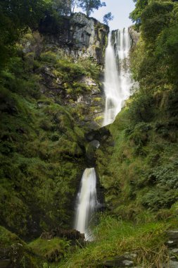 pistyll rhaeadr şelale, Birleşik Krallık, Galler'deki yüksek şelale.