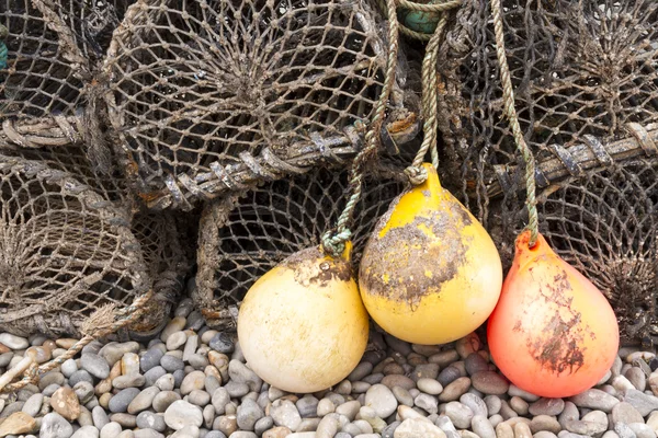 Homards en pots — Photo