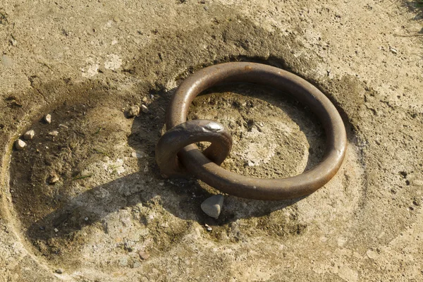 Iron ring set in concrete Stock Photo