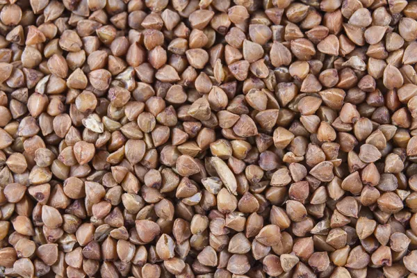 Buckwheat scattered to make background or texture. Macro. — Stock Photo, Image