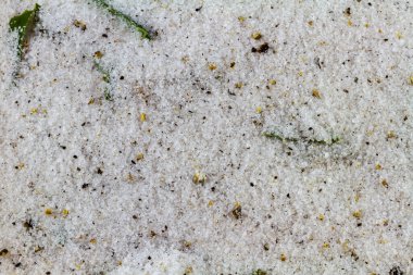 Pastırma, tuz, şeker, defne yaprağı, karabiber ve ardıç için kuru tedavi. Tahta doğrama tahtasında