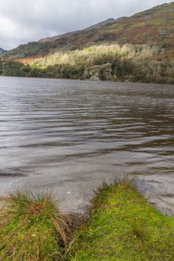Nant Gwynant Geçidi 'ndeki Llyn ya da Gwynant Gölü. Snowdonia, Galler. Güneş ağaçlara vuruyor, portre yapıyor.