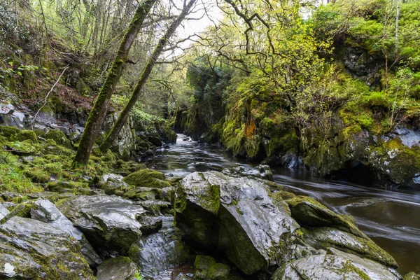Прекрасна Ущелина Річкою Fairy Glen Betws Coed Snowdonia Wales Ландшафт — стокове фото