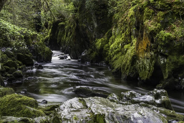 Beautiful Gorge River Fairy Glen Betws Coed Snowdonia Wales Landscape — Stock Photo, Image