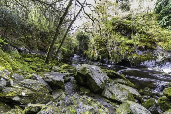 Beautiful Gorge River Fairy Glen Betws Coed Snowdonia Wales Wide — Stock Photo, Image