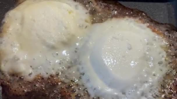 Grilled cheese close up — Stock Video