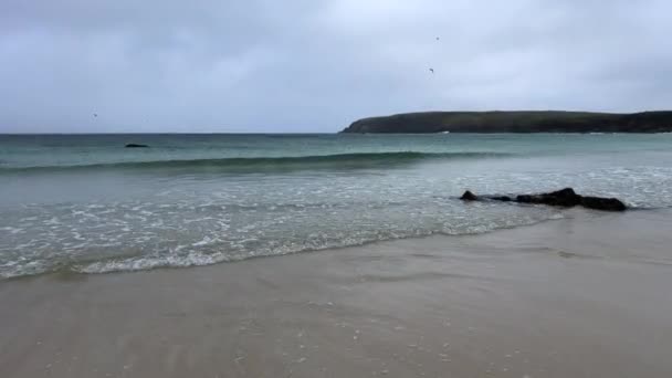 Piękna Samotna Pustynia Port Ness Beach Wyspa Lewis Hebrydy Zewnętrzne — Wideo stockowe