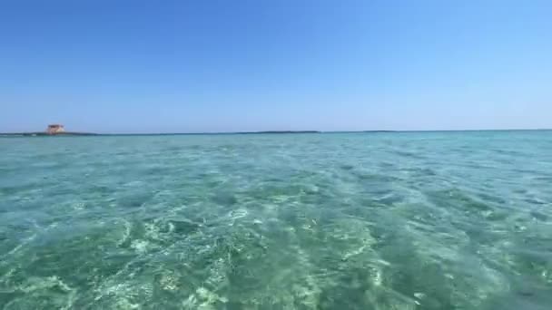 View Water Beautiful Pristine Uncontaminated Bay Torre Guaceto Natural Reserve — Αρχείο Βίντεο