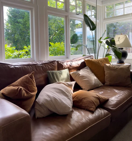 A brown leather sofa with scattered pillows, typical windows and a strelitzia plant in atypical British home. Interior decor.