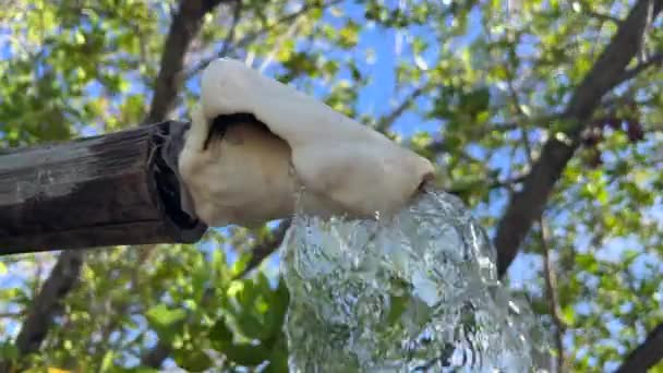 Outdoor Shower Eco Lodge Resort Water Coming Out Sea Shell — Stock videók