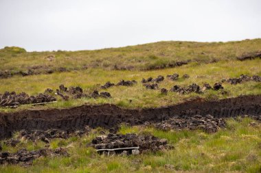 Yeni kesilmiş. Islak ve nemli turba dilimleri yazın Hebirdes 'in dışındaki Lewis ve Harris Adası' ndaki İskoç bozkırlarında kurur. Isıtma için yerel yanıcı.