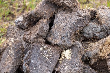 Yazın dışarıda Hebirdes 'in dışındaki Lewis ve Harris Adası' ndaki İskoç bozkırlarında kurutulması için bırakılmış turba ya da çim tuğlaları yakın plan çekimleri. Isıtma için yerel yanıcı.
