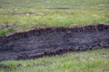 Yeni kesilmiş. Islak ve nemli turba dilimleri yazın Hebirdes 'in dışındaki Lewis ve Harris Adası' ndaki İskoç bozkırlarında kurur. Isıtma için yerel yanıcı.