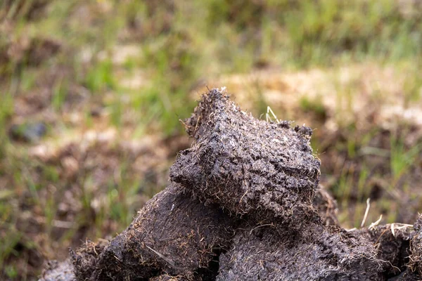 Close Shots Neat Peat Turf Bricks Left Dry Outdoors Summer — Stock Photo, Image