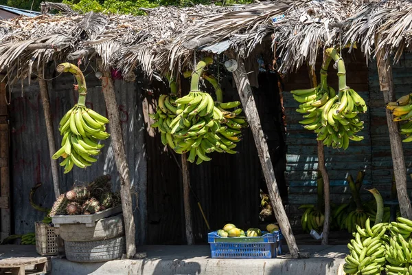 Fruit shops and fruit selling on the roads of the Dominican Republic. Colorful fruit like bananas and bright green plantains on sale. Tropical life, caribbean living.