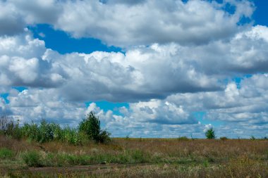 Doğa manzarası. Alanın arka planında büyük beyaz kümülüs bulutları olan mavi gökyüzü.