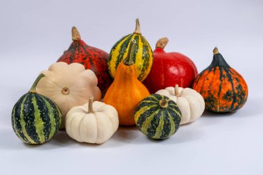 Bal kabakları ve farklı renklerden Patison ve beyaz üzerine süslü şekiller. Cadılar Bayramı için balkabakları.