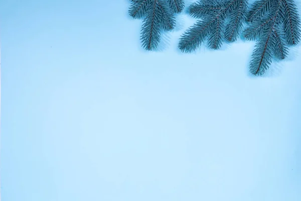Ramos de uma árvore de Natal em um fundo azul. A base para o cartão postal. — Fotografia de Stock