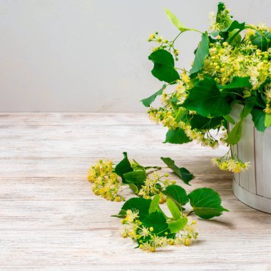 Beyaz arka planda beyaz sepetteki ıhlamur çiçekleri. Linden çiçeği çayı..