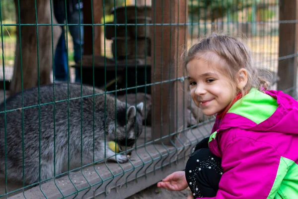Kız hayvanat bahçesinde rakunları besliyor. Bir çocuk hayvanat bahçesindeki kafeste bir rakunu besler. Hayvanat bahçesindeki rakun. Eller yiyecek sağlar. Seçici odak