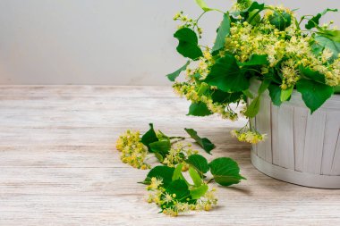 Beyaz arka planda beyaz sepetteki ıhlamur çiçekleri. Linden çiçeği çayı..