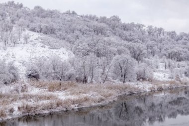 River landscape in the winter forest with trees covered with fresh snow. Snowy winter river landscape.
