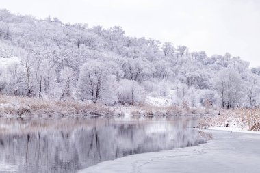 River landscape in the winter forest with trees covered with fresh snow. Snowy winter river landscape.