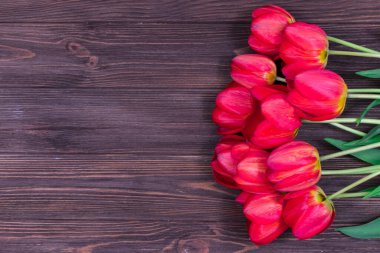 Koyu ahşap arka planda kırmızı laleler. Yazı için uygun bir yer. Kartpostal Örnek.