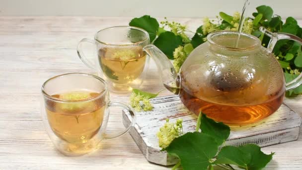 Vařící voda se nalévá do skleněné konvice a čaj s lískovými květy se vaří na pozadí lískových větví s květinami a listy na bílém stole. Léčení lízátkového čaje. — Stock video